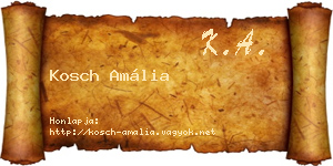 Kosch Amália névjegykártya